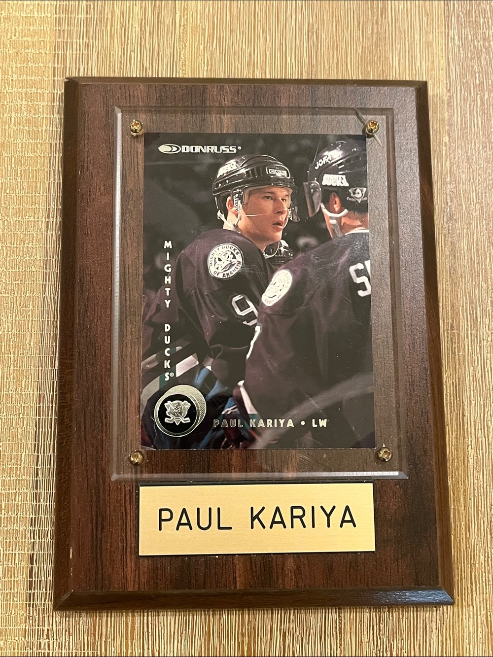 NHL Paul Kariya Famed Hockey Card